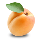 Apricot